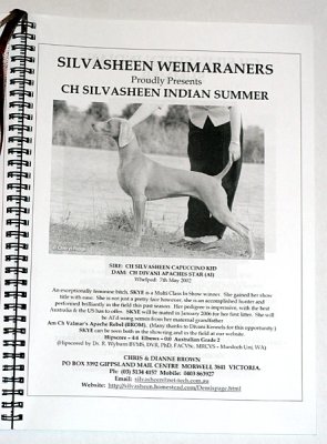 Weimaraner show catalogue - photo