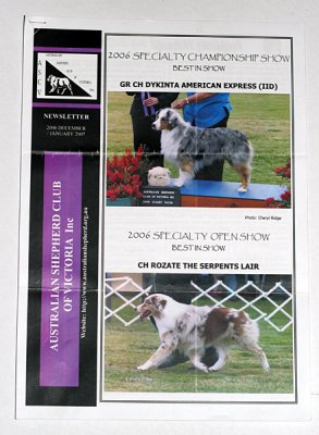 Australian Shepherd club newsletter - cover photos