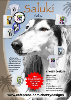 Ad for saluki dog show catalogue
