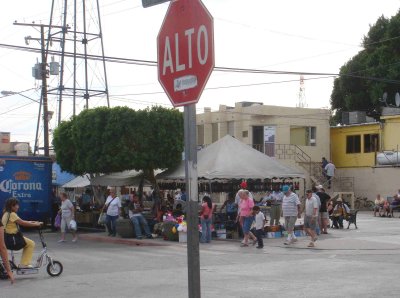 algodones19.jpg