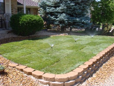 yard