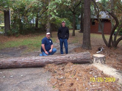 Guys from Phelps Tree Service stopped work just long enough for me to get a quick picture once the tree was down.