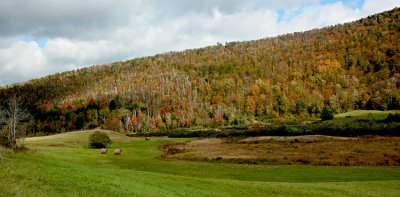 Vermont October