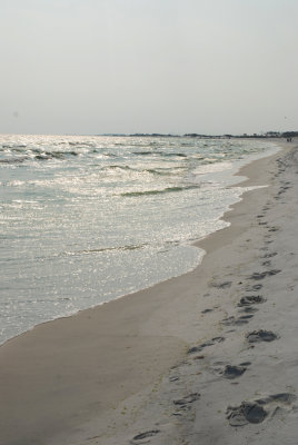 g5/24/624224/3/100510787.XIT8DPP9.jpg