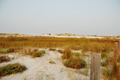 g5/24/624224/3/100622838.r0AMJzfZ.jpg