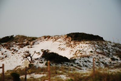 g5/24/624224/3/100626484.O0byYaJd.jpg