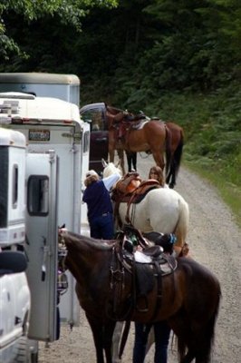 Horses, trailers, wrangler and DNR manager Julie getting ready