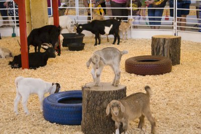 State Fair 2008