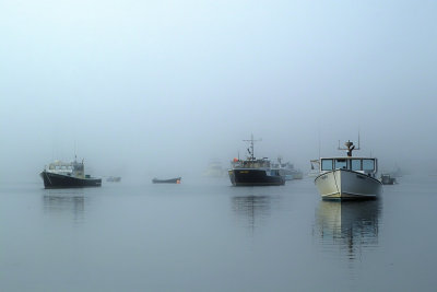 Harbor Fog