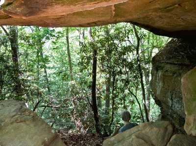 Clear Branch Arch