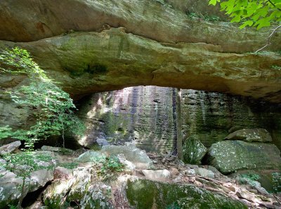 Bell Smith Spring Arch