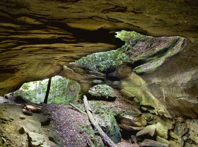 Red Byrd Arch