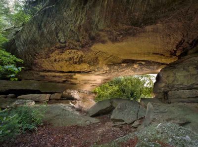 White's Branch Arch