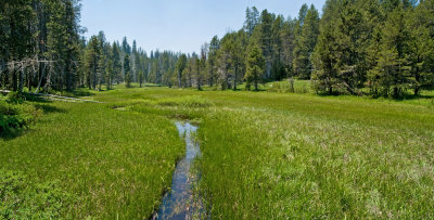 McGurk Meadow