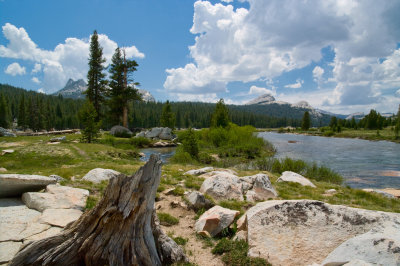 Tuolumne Meadows