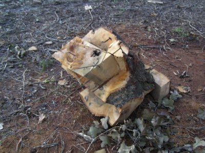 PopSaw6.jpg