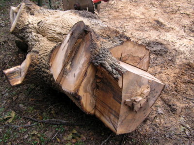 PopSaw8.jpg