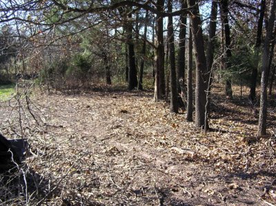 Site1.jpg