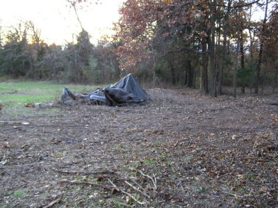 Site2.jpg