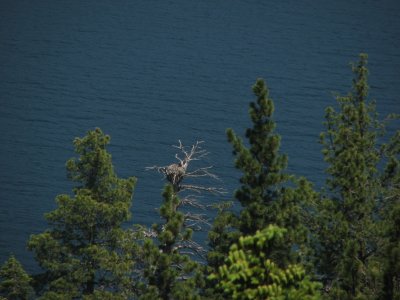 Img_0340pb.jpg