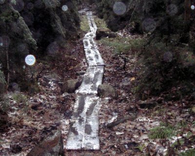 Downhill puncheon challenge