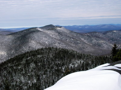 Looking North