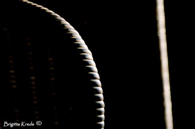Lines