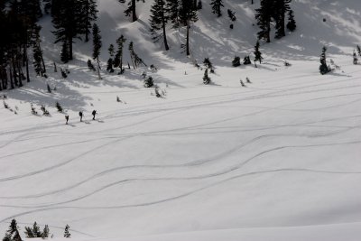 Randonee Skiers Head Up-4829