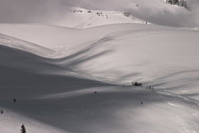 Ski Trailsin Avalanche Gulch-4975