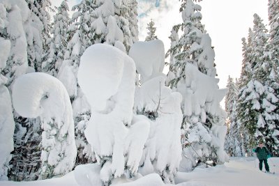 Skier Dwarfed by Snow Tree Creatures - 4223