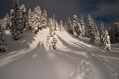Ski Trail -Evening Light-4362