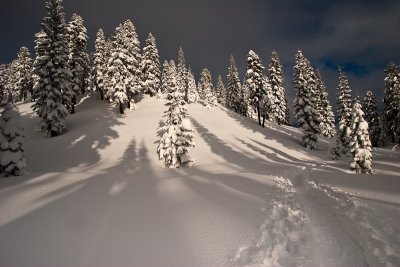 Mount Shasta Adventures