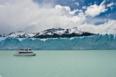 IMG_3979.jpg