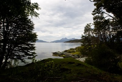 IMG_4705.jpg