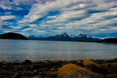 IMG_4720.jpg
