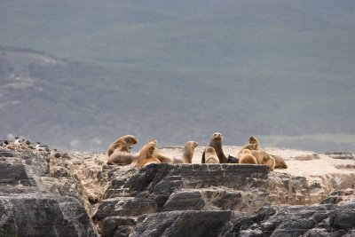 IMG_4864.jpg