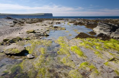 On the way to the Brough of Birsay (7/30/08)