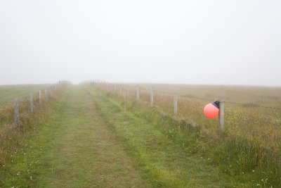Farm track, South Ronaldsay (7/28/08)