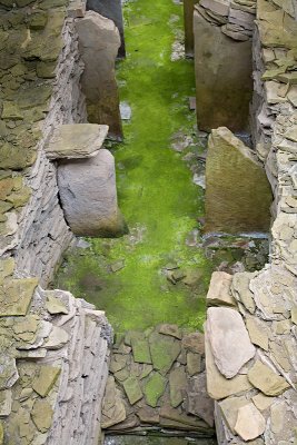 Interior, Midhowe chambered cairn (8/1/08)
