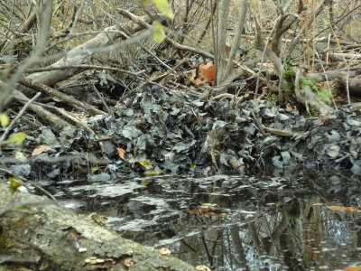 Fresh mud on second dam on same tributary along NE side of drop zone - further upstream.JPG