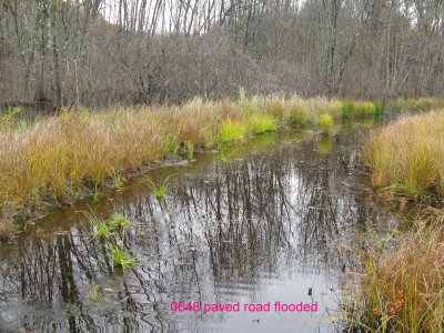 0648 paved rd flooded.jpg