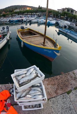 A fisherboat and its catch