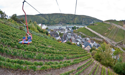 Chairlift above a vineyard