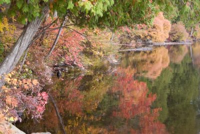 Canoeing on St Regis Pond October 2008