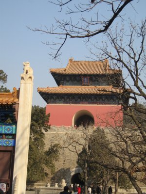 IMG_5648a.jpg