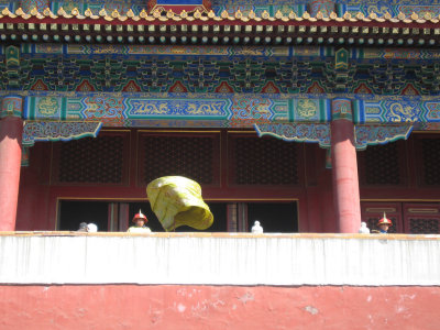 IMG_5697a.jpg