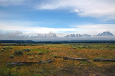 Teton Summer Grass