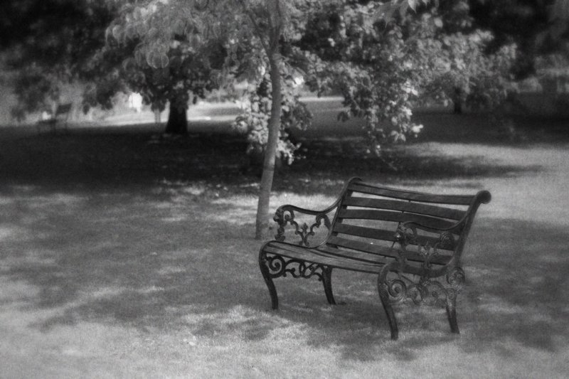 a quiet place...