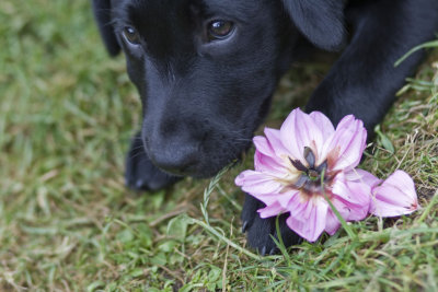 it wasnt me....!!