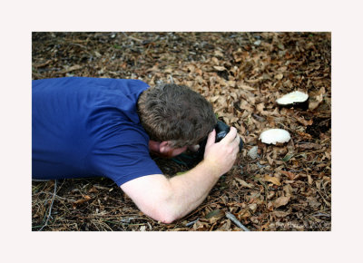 i always said lee was a fungi....:))